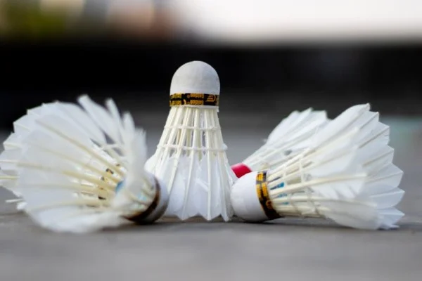 badminton shuttlecock court
